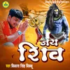 About Jai Shiv Song